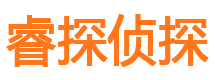 铜官山市调查公司